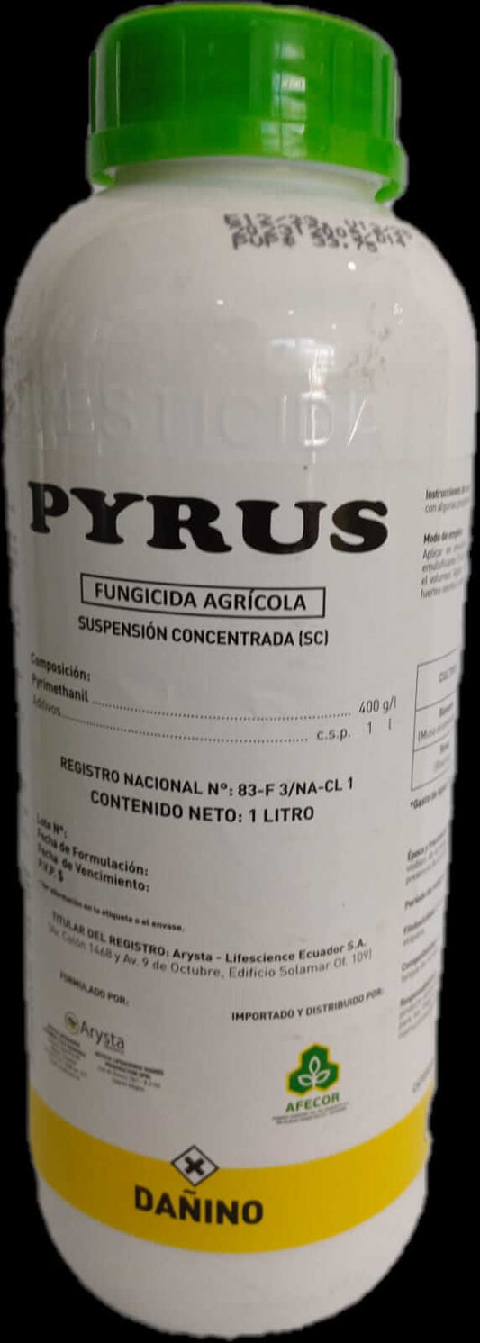 Pyrus 1L
