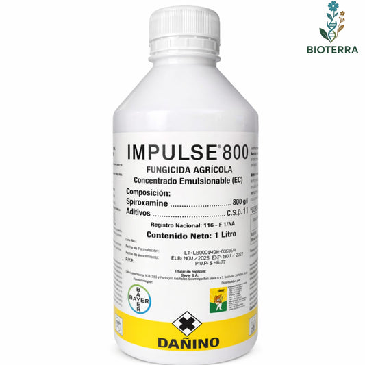 Impulse 1L